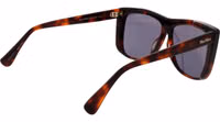Brown Acetate Sunglasses 3