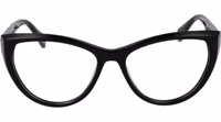 Black Plastic Glasses (Frames) 2