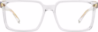 Transparent Acetate Glasses (Frames) 2