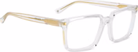 Transparent Acetate Glasses (Frames) 3