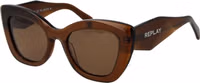 Brown Acetate Sunglasses 1