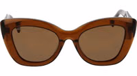 Brown Acetate Sunglasses 2