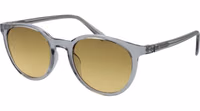 Gray Plastic Sunglasses 1