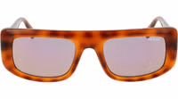 Brown Plastic Sunglasses 2