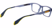 Blue Plastic Glasses (Frames) 3