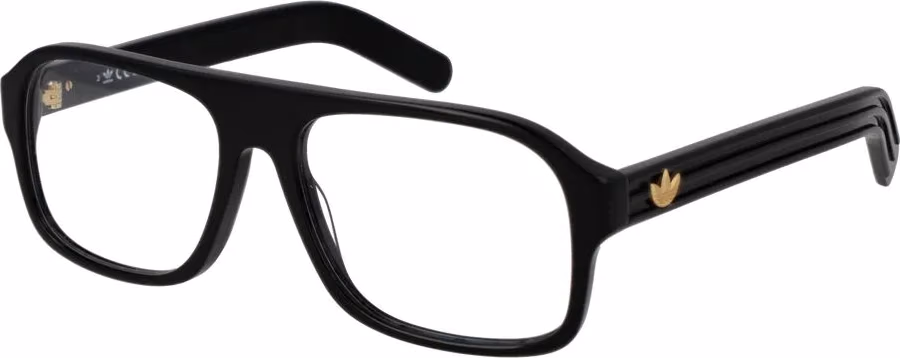 Black Plastic Glasses (Frames)