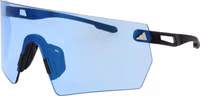 Black Plastic Sunglasses 1
