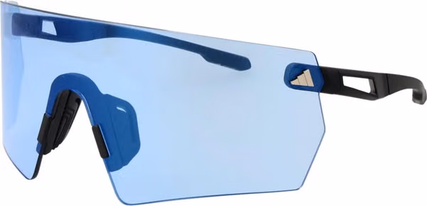 Black Plastic Sunglasses