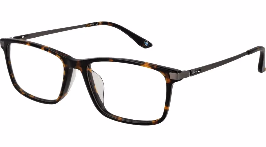 Brown Titanium Glasses (Frames)