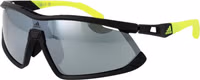 Black Plastic Sunglasses 1