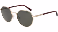 Gold Metal Sunglasses 1