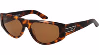 Brown Plastic Sunglasses 1