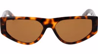 Brown Plastic Sunglasses 2