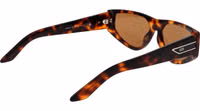 Brown Plastic Sunglasses 3