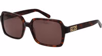 Brown Plastic Sunglasses 1