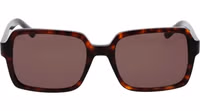 Brown Plastic Sunglasses 2