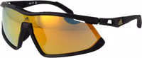 Black Plastic Sunglasses 1