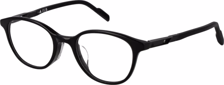 Black Plastic Glasses (Frames)