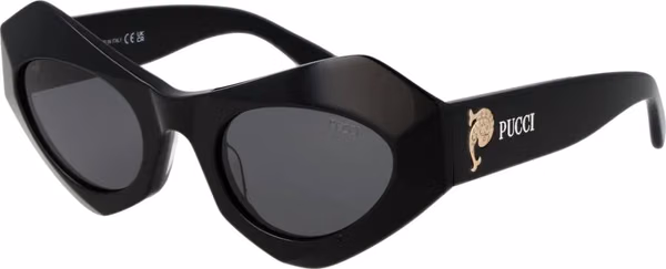 Black Plastic Sunglasses