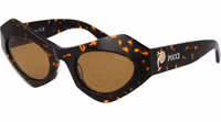 Brown Plastic Sunglasses 1
