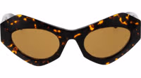 Brown Plastic Sunglasses 2