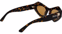 Brown Plastic Sunglasses 3