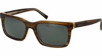 Brown Plastic Sunglasses 1
