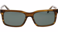 Brown Plastic Sunglasses 2