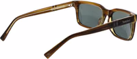 Brown Plastic Sunglasses 3
