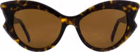 Brown Acetate Sunglasses 1