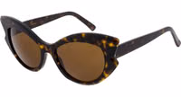 Brown Acetate Sunglasses 2