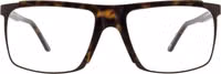 Brown Plastic Glasses (Frames) 1