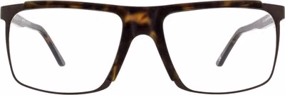 Brown Plastic Glasses (Frames)