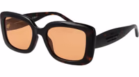 Brown Plastic Sunglasses 1