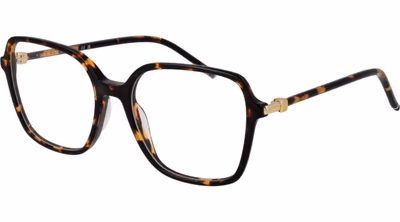 Brown Acetate Glasses (Frames)