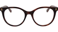 Brown Polyamide Glasses (Frames) 2