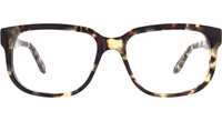 Brown Acetate Glasses (Frames) 1