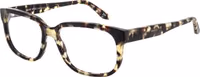 Brown Acetate Glasses (Frames) 2