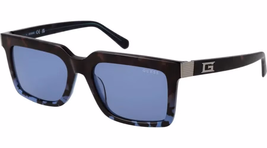 Brown Acetate Sunglasses