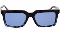 Brown Acetate Sunglasses 2