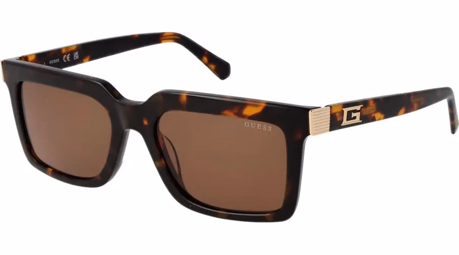Brown Acetate Sunglasses