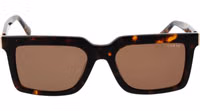 Brown Acetate Sunglasses 2