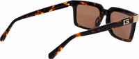 Brown Acetate Sunglasses 3