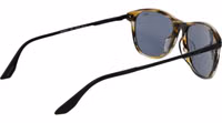 Brown Acetate Sunglasses 3
