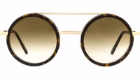 Brown Metal & Plastic Glasses (Frames) 1
