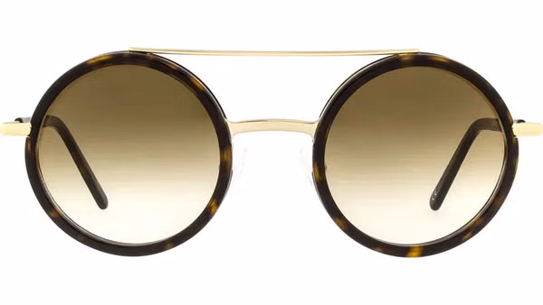 Brown Metal & Plastic Glasses (Frames)