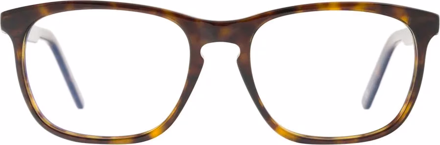 Brown Acetate Glasses (Frames)