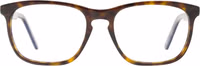 Brown Acetate Glasses (Frames) 1