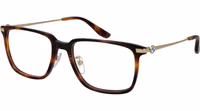 Brown Plastic Glasses (Frames) 1