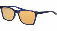 Blue Plastic Sunglasses 1